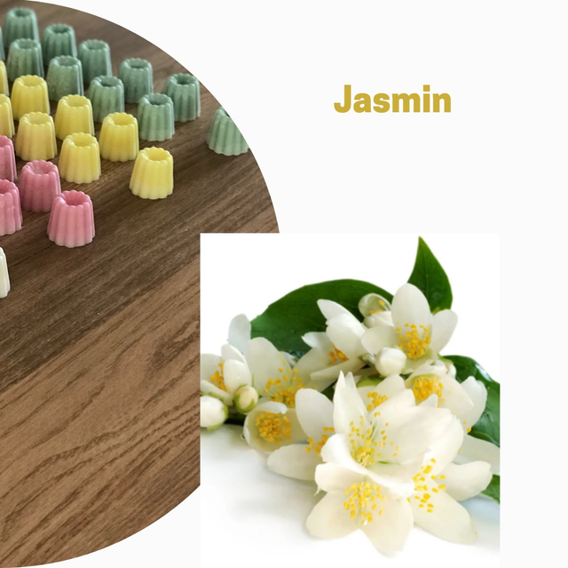 Jasmin
