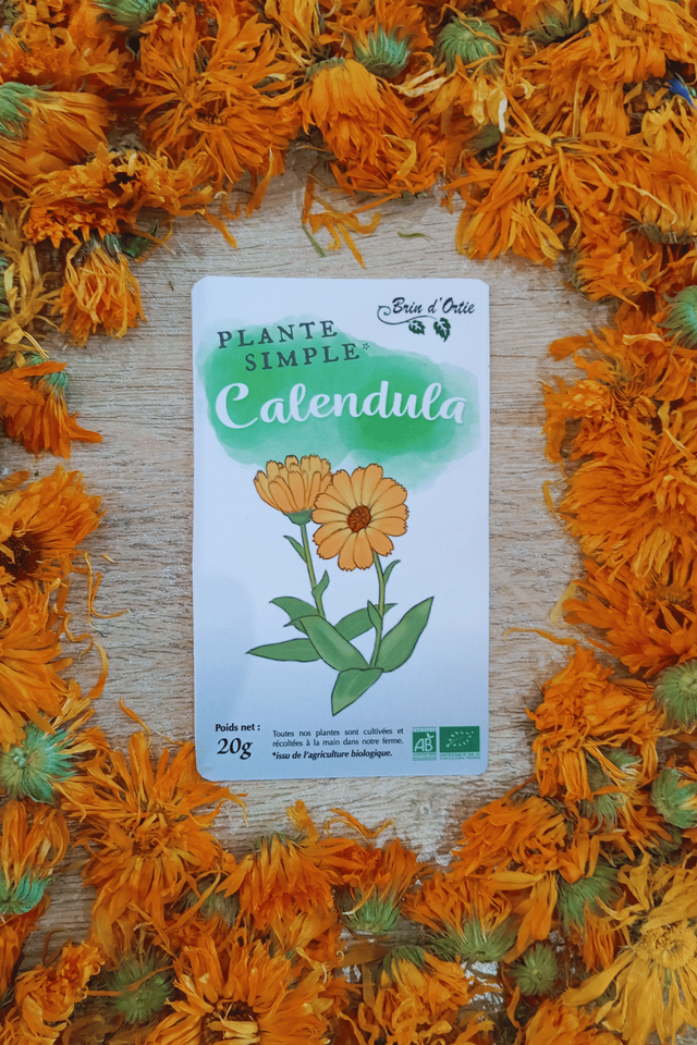 Fleur simple, Calendula