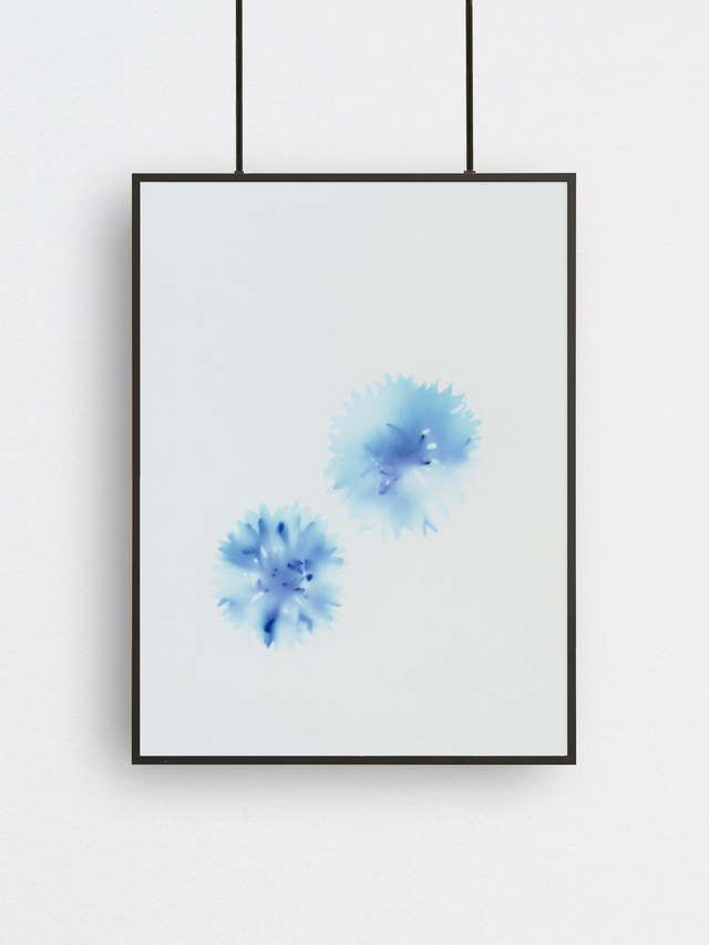 Wasteland Polaroids 5, Fine Art Print