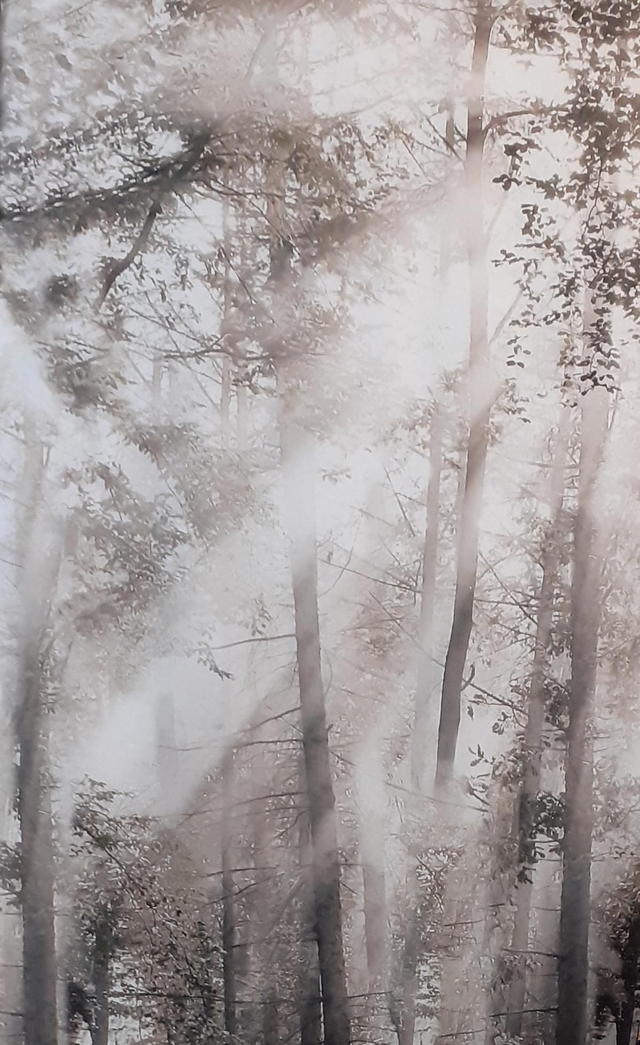 Wandbehang Waldstimmung