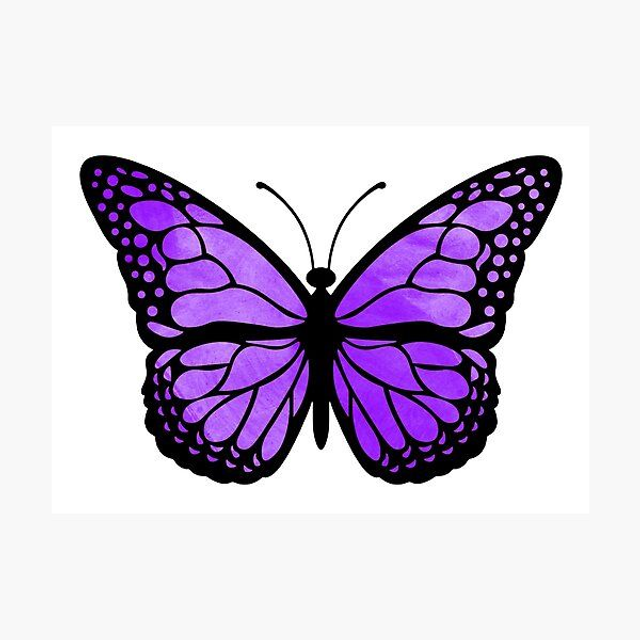 Boucles d'oreilles Mariposa