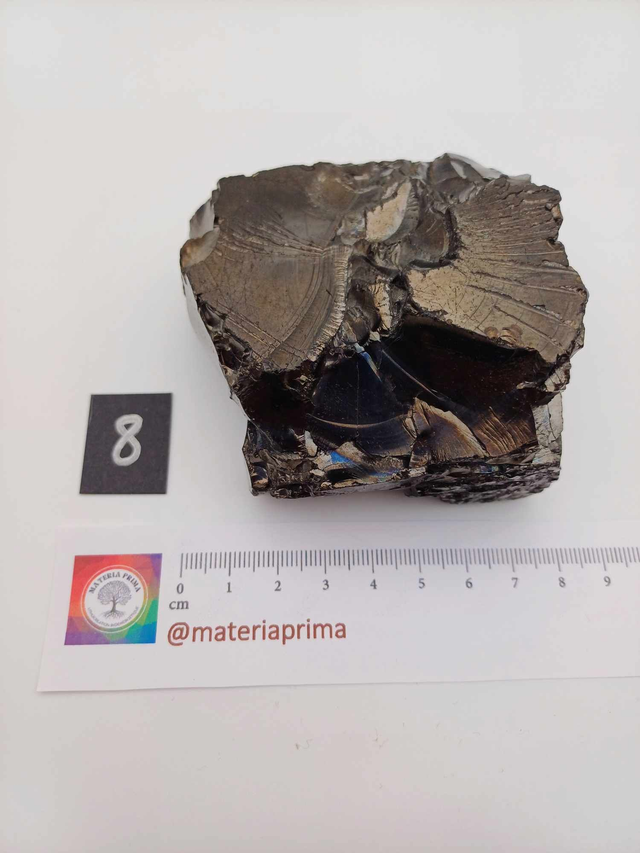 Shungite élite taille XL (204g)