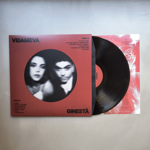 VINIL - VIDA MEVA