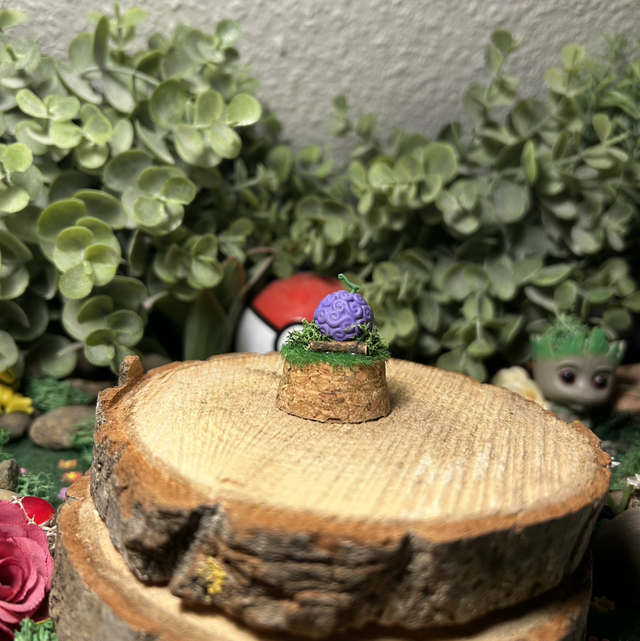 Mini Cloche - Fruit du Caoutchou 