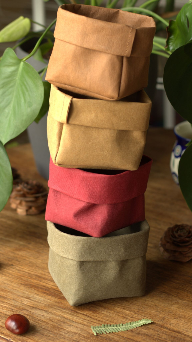 Quotidiens : vide-poche