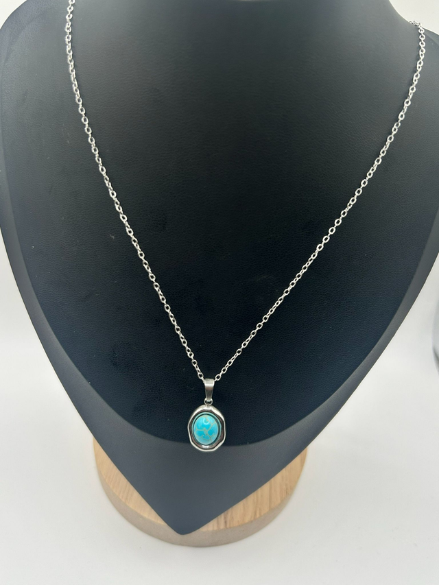 Stainless Steel Necklace (SSN8J)