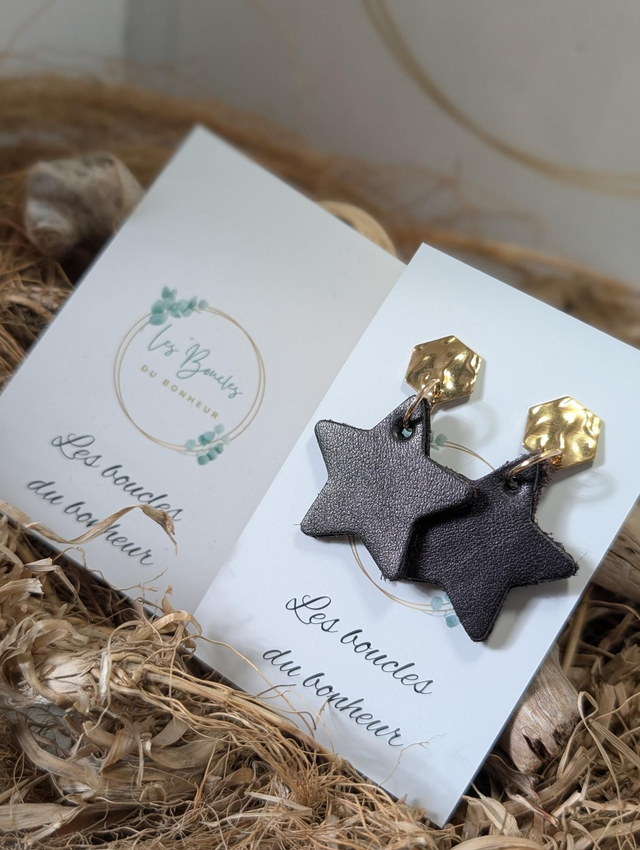 Boucles d'oreilles Petite étoile violine st013