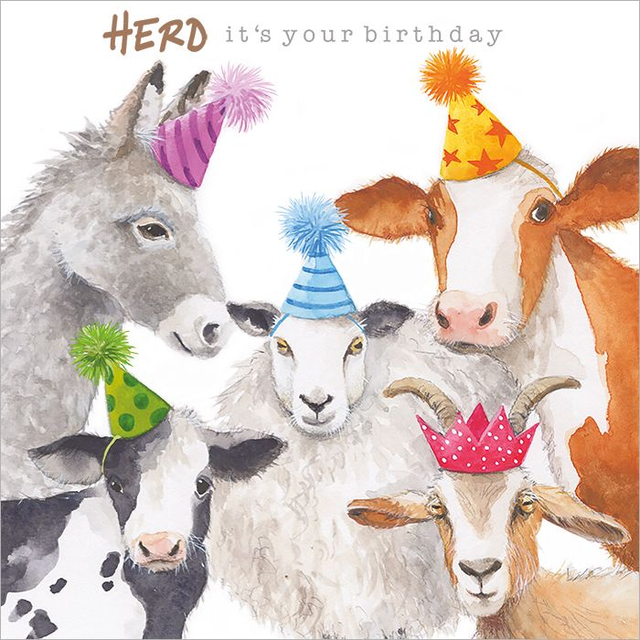 Herd It’s Your Birthday A026