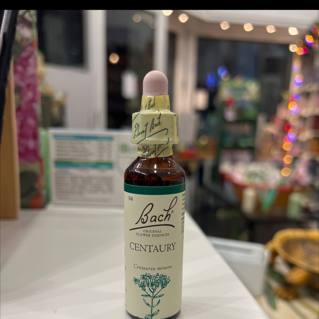 Fiori di bach 04 Centaury