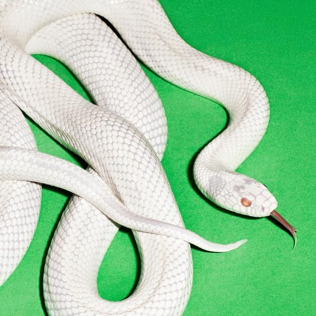 Deftones / Private Music (LP)