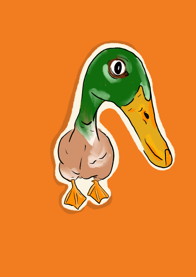 Sticker Canard &quot; What?!!&quot; 