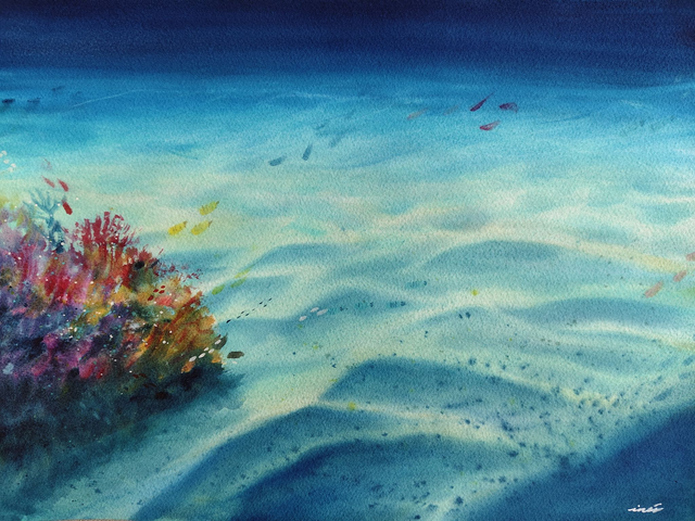 Fondo marino - 31 x 41 cm