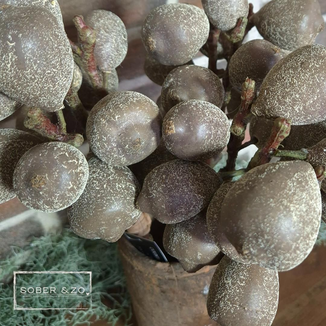 Kunsttak 1, vruchten