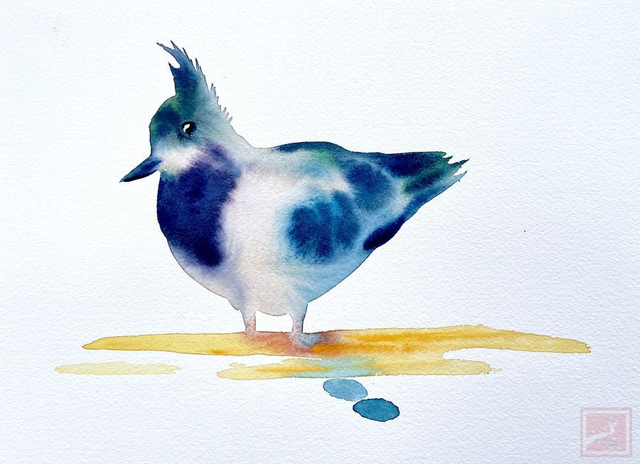 lapwing #5