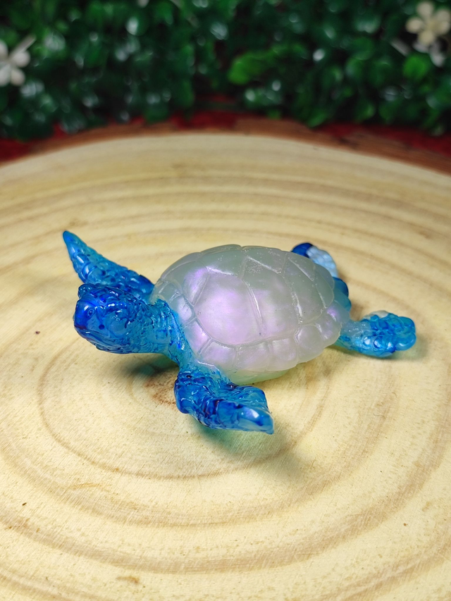 Tortue de mer