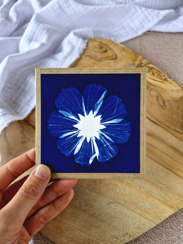 💙 Mini CyanÔ - Les mignonneries - Cosmos M