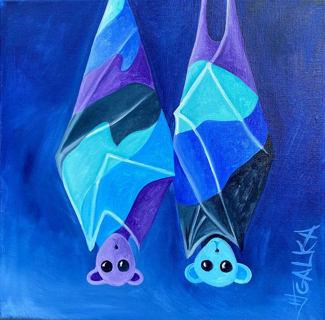 Coupe chauve-souris . Galka