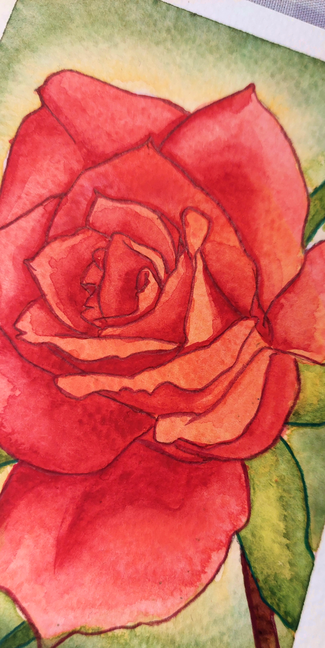 Aquarelle originale Rose Rouge