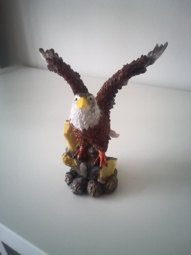 Aigles moyen