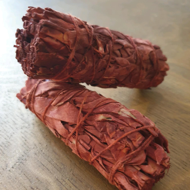 sauge sang de dragon