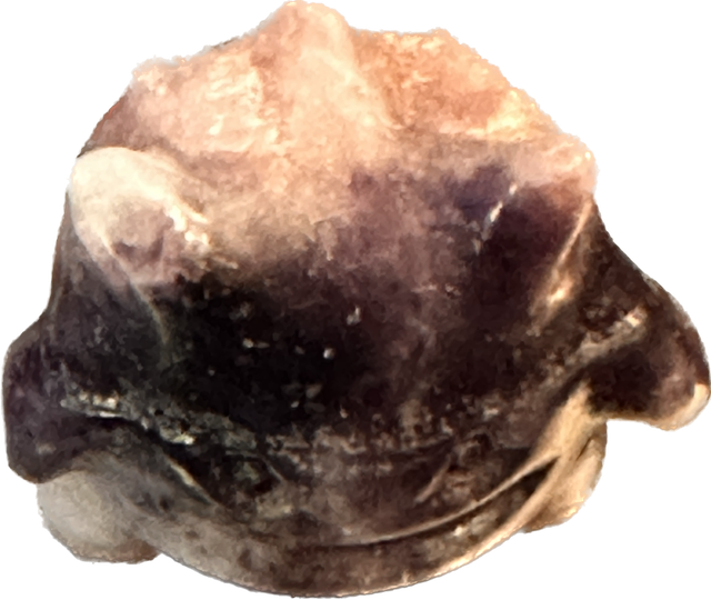 Pokémon Gengar Mini