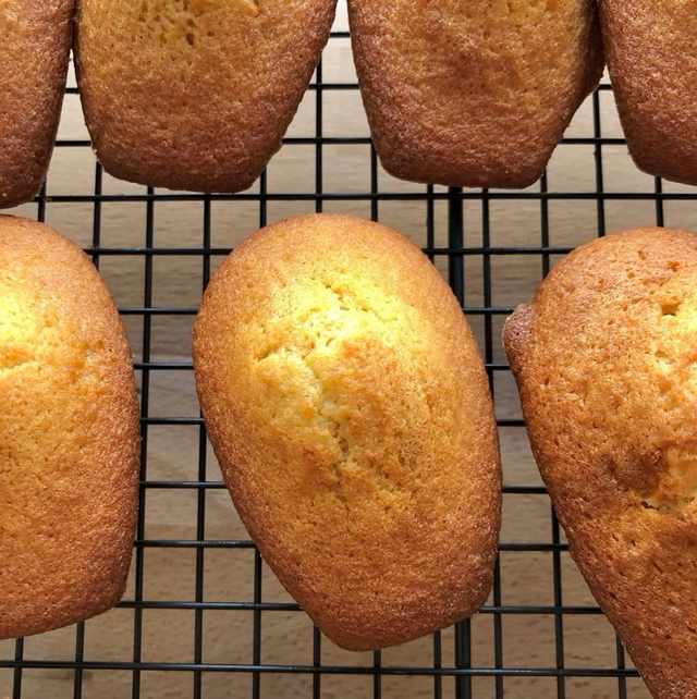 Madeleines Bio Nature – Moelleuses et Authentiques