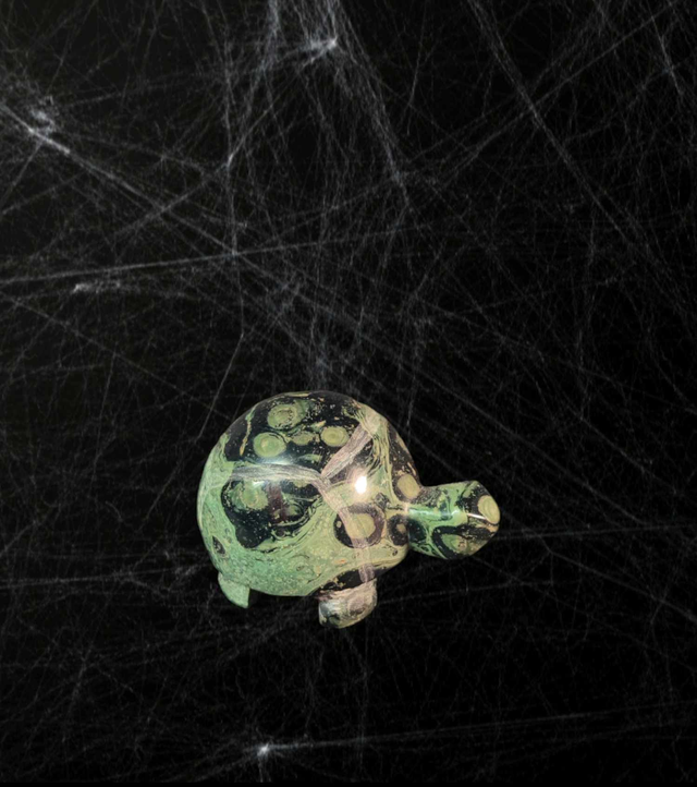 Tortue Kambaba