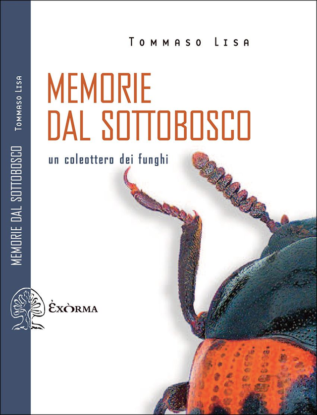 Lisa Tommaso - Memorie dal sottobosco. Un coleottero dei funghi