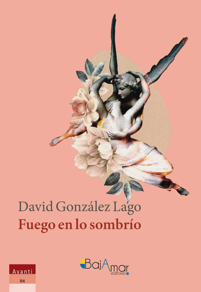 LIBRO FUEGO EN LO SOMBRÍO DE DAVID GONZÁLEZ LAGO-BAJAMAR EDITORES-