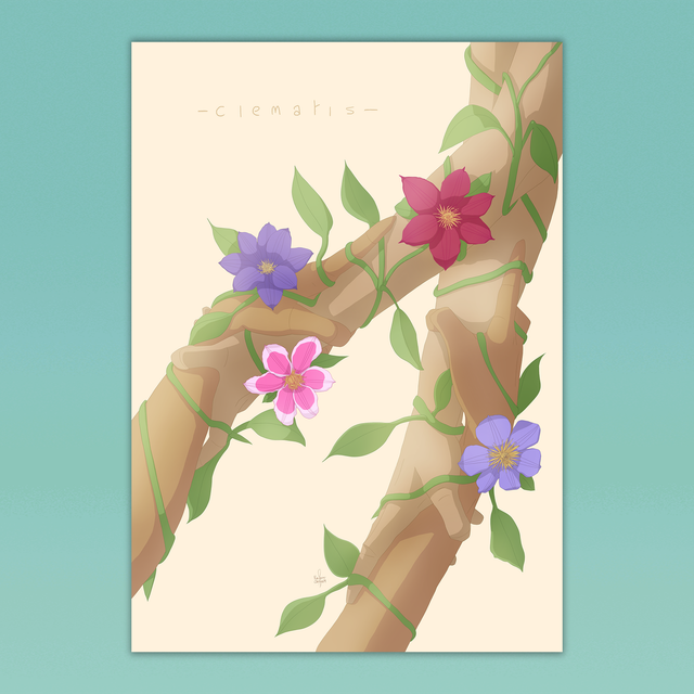 Clematis Print