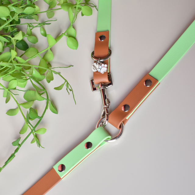 Handsfree Biothane Leiband "munt"