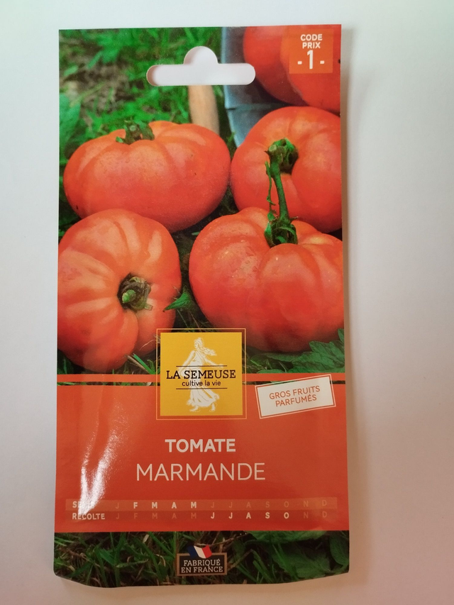 Tomate Marmande