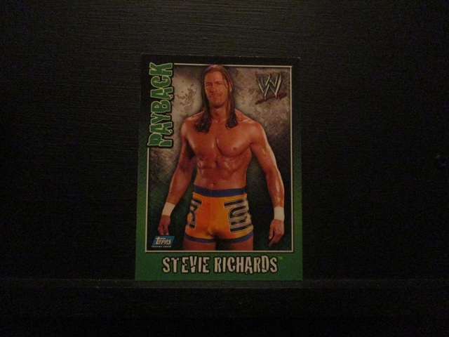 Steve Richards - Payback Original Trading Card #86