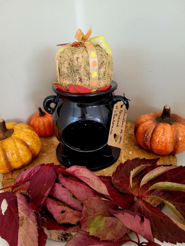 Le bruleur chaudron noir