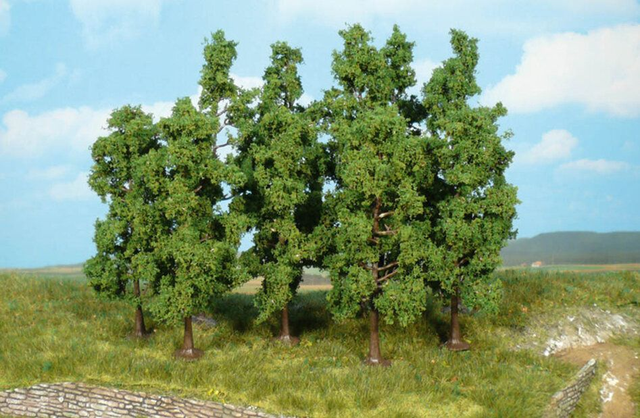 10 arbres héki 1925