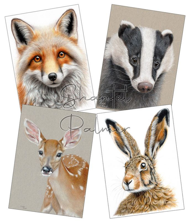 4 A5 prints, half price offer :) 