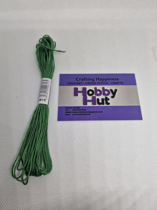 Embroidery Thread - 3815