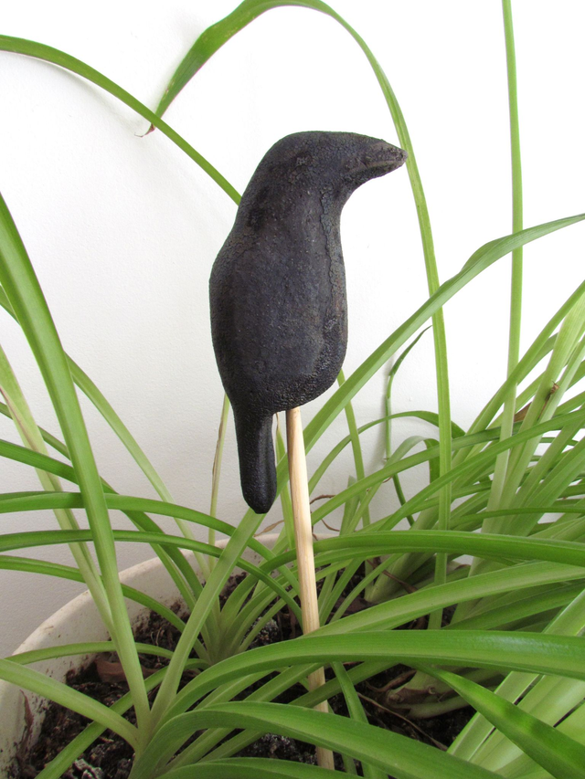 Genevieille la corneille doyenne