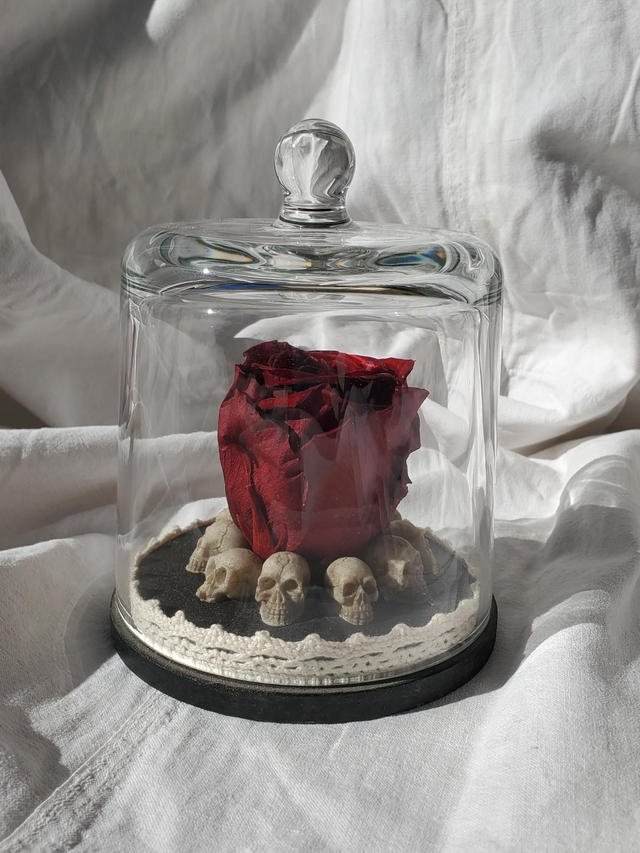 D07 Rose rouge sang sur crâne