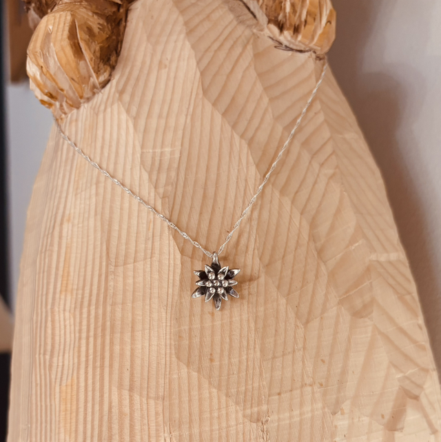 L’éternelle Alpine