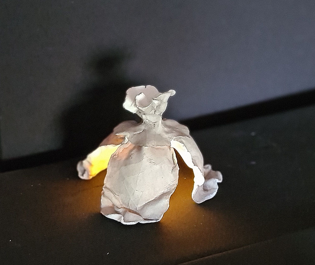 &quot;Fleurs en lumière&quot; - &quot;VENDU&quot;