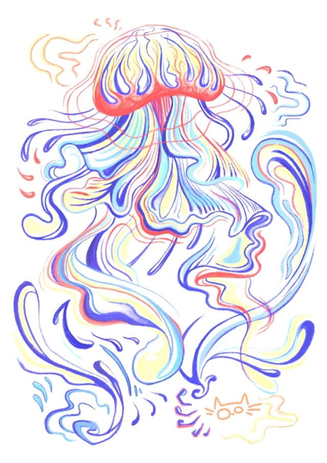 Série animaux marins - Méduse Rouge