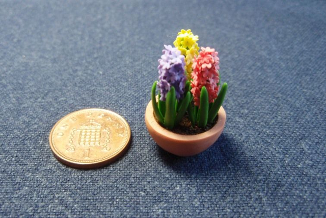 Hyacinths (Mixed)