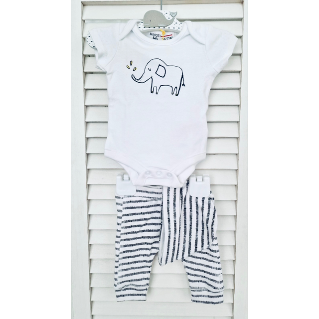 Ensemble éléphant naissance 