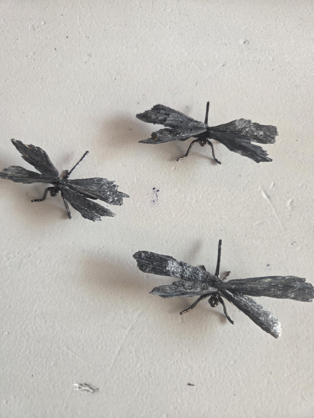 Libélula con Escoba de Bruja