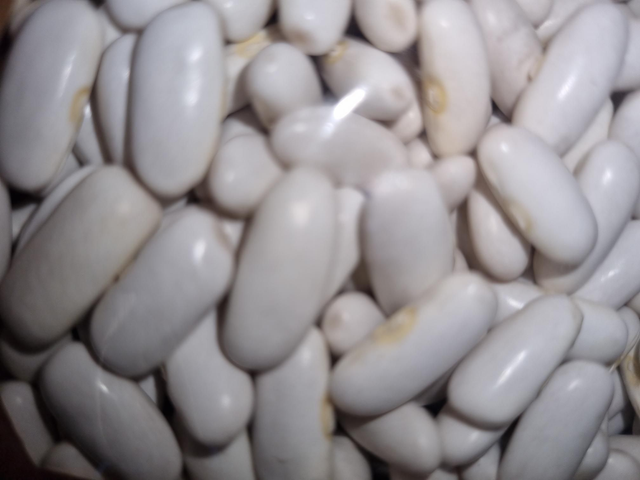 Haricots Lingots 500gr