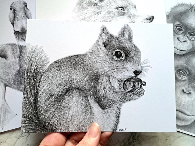Red Squirrel Mini Print 