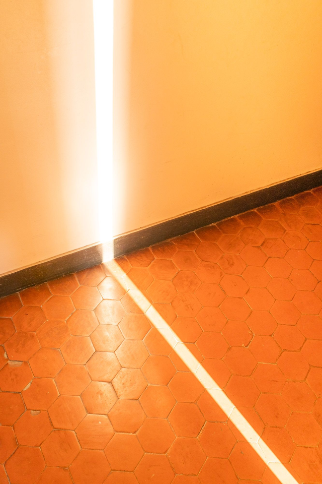 Temporary Peace in my Temporary House