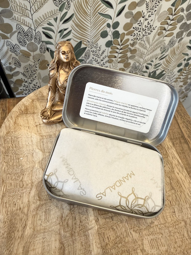 Box Astro Poissons - Aigue marine, Améthyste, Sodalite