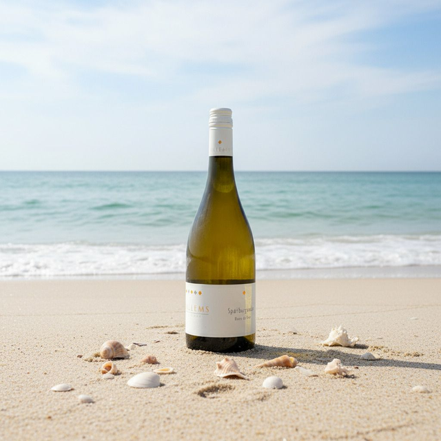 Weingut Willems Blanc de Noir Spätburgunder feinherb